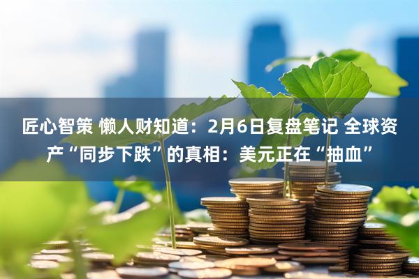 匠心智策 懒人财知道：2月6日复盘笔记 全球资产“同步下跌”的真相：美元正在“抽血”