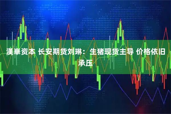 漢崋资本 长安期货刘琳：生猪现货主导 价格依旧承压